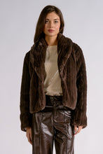 Cargar imagen en el visor de la galería, Jacket Collar
